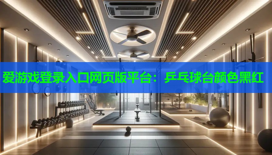 爱游戏登录入口网页版平台：乒乓球台颜色黑红