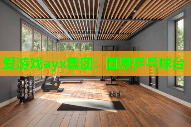 爱游戏ayx集团：固原乒乓球台