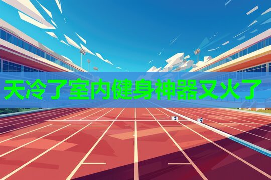 天冷了室内健身神器又火了